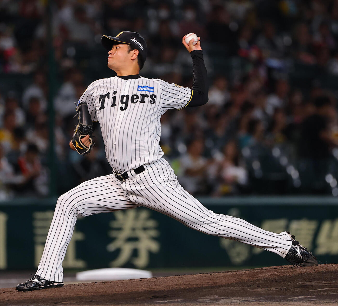 阪神対広島　阪神先発の高橋遥人（撮影・上田博志）
