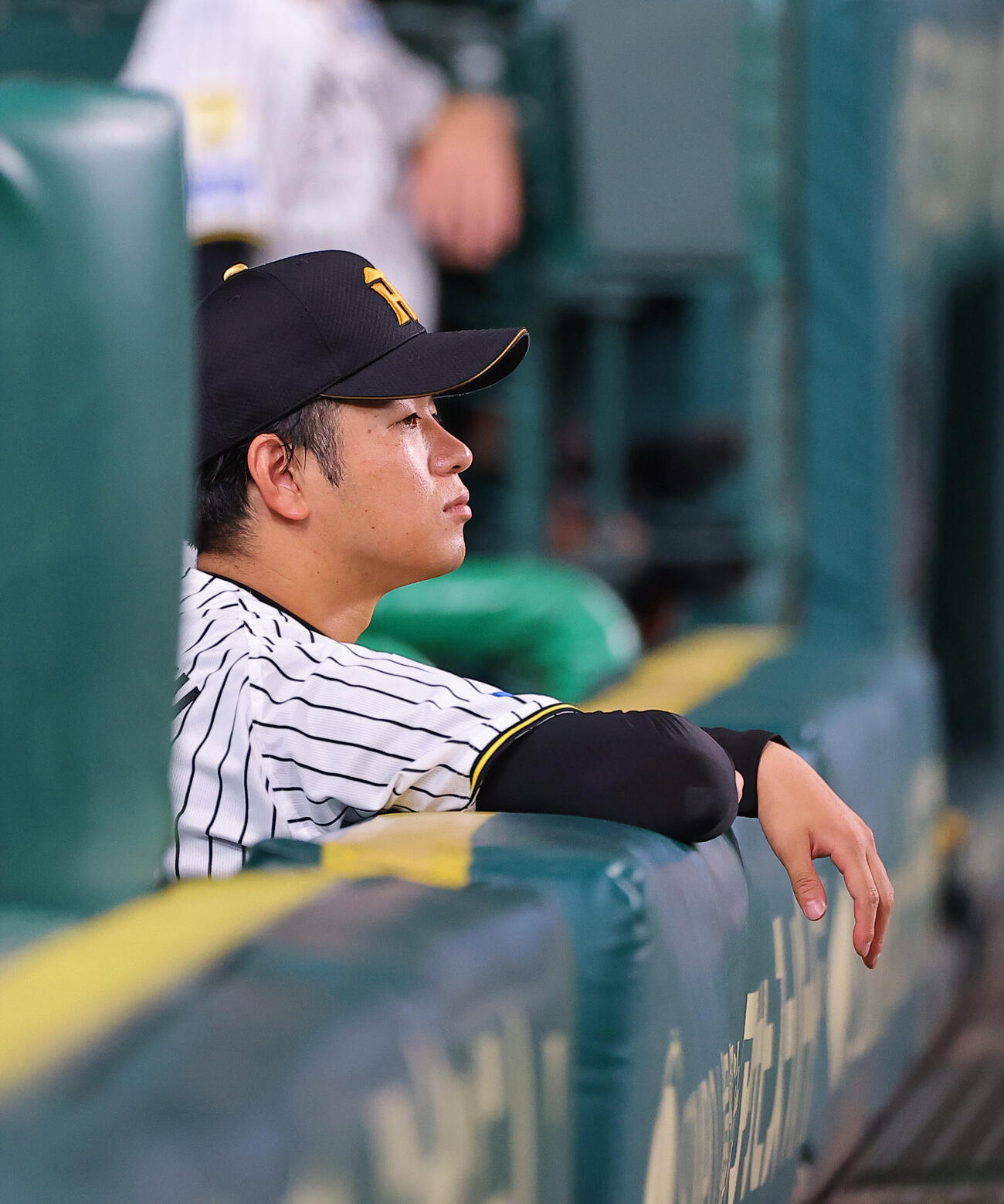 阪神対広島　降板後、ベンチから戦況を見守る阪神高橋遥人（撮影・上田博志）