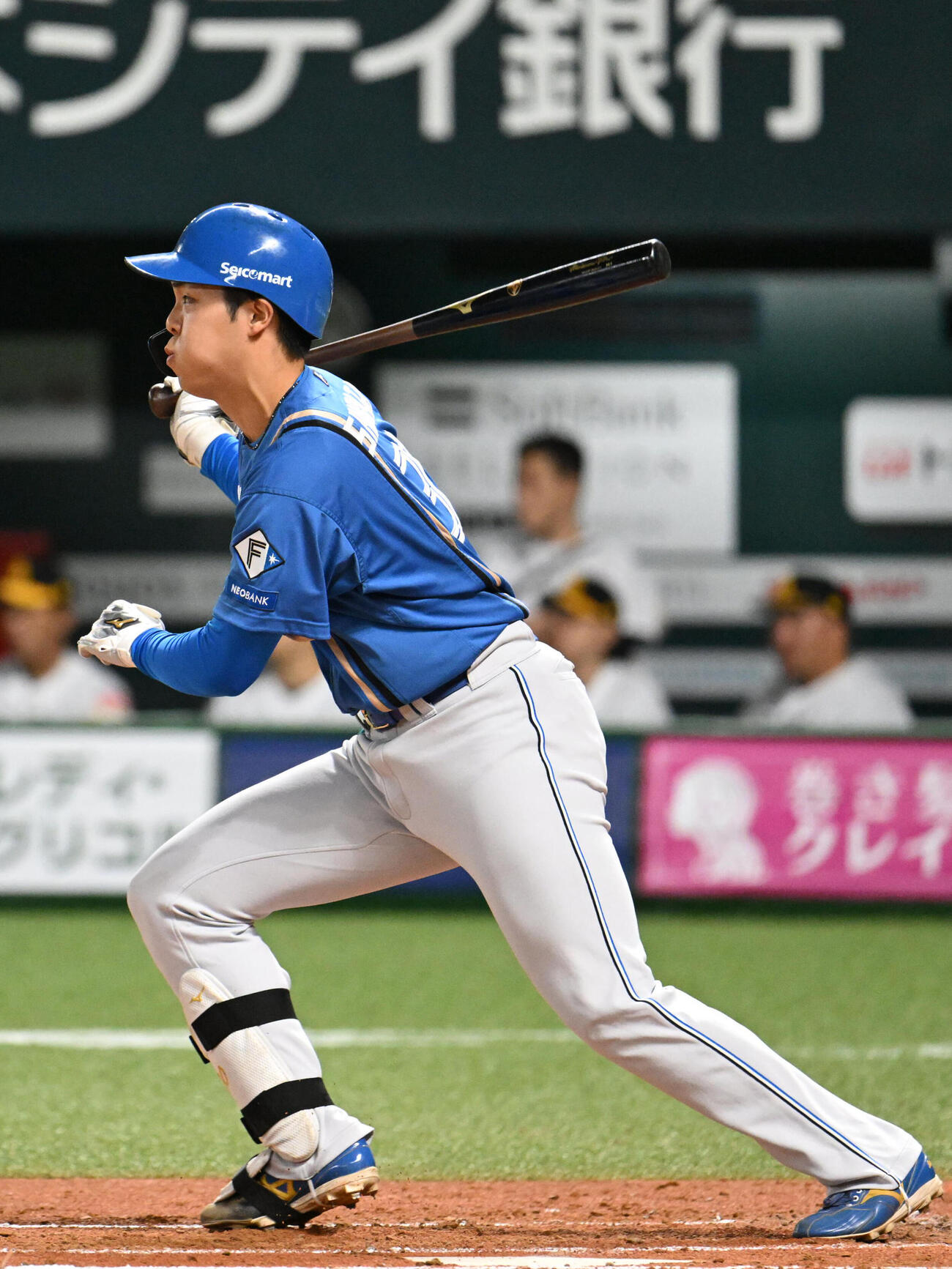 ソフトバンク対日本ハム　2回表日本ハム1死一塁、柴田獅子はプロ初安打を放つ（撮影・林敢治）