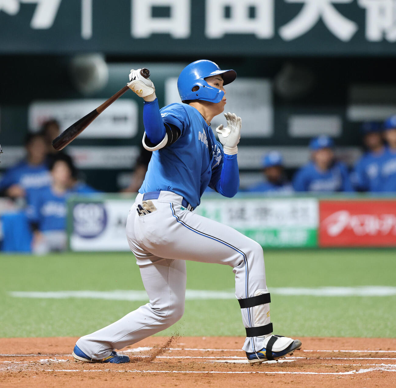 ソフトバンク日本ハム　2回表日本ハム1死一塁、柴田獅子は右前打を放つ（撮影・梅根麻紀）