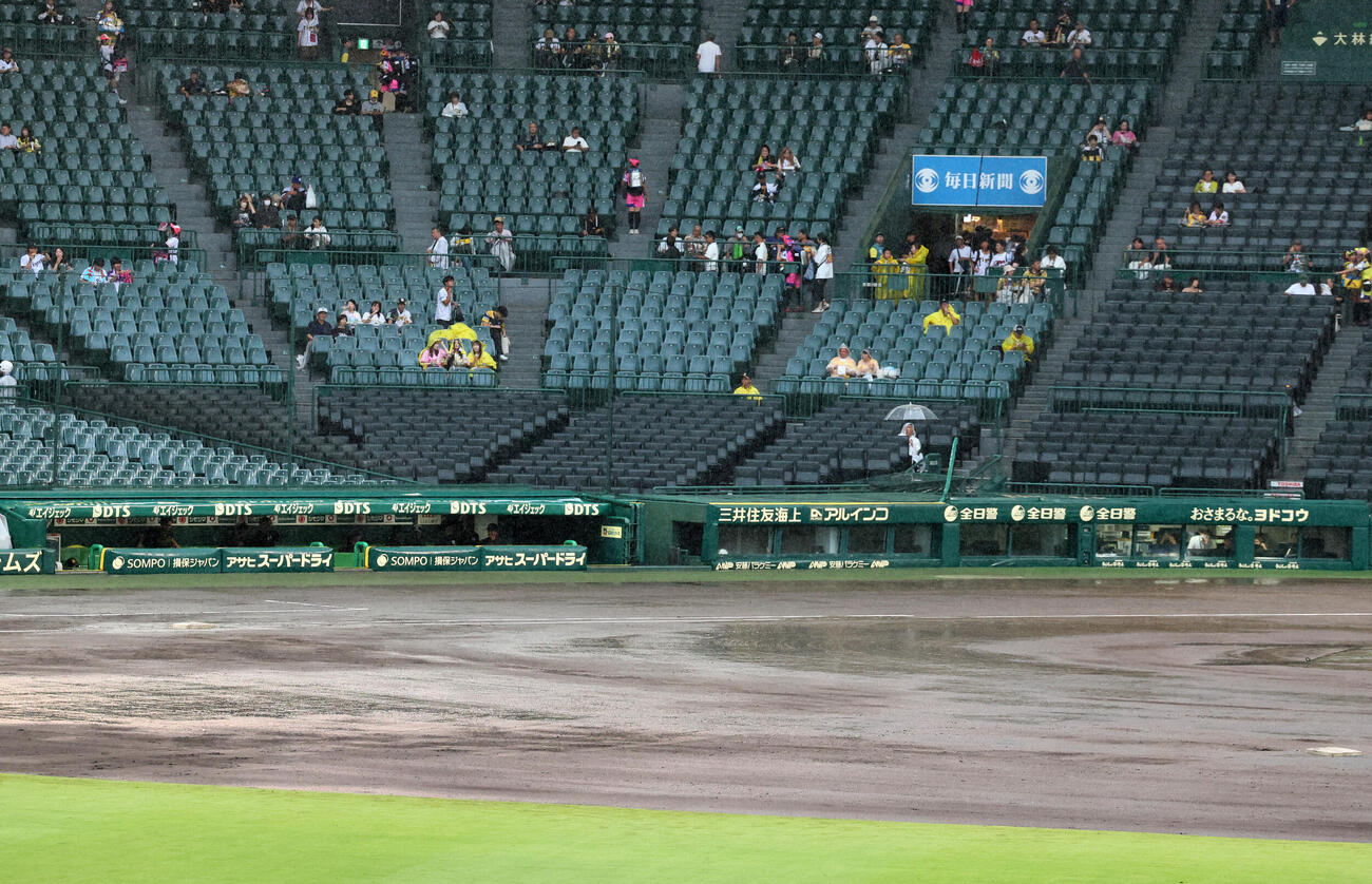 阪神対広島　広島の練習中に降り出した雨で内野グラウンドは水たまりが出来ている（撮影・加藤哉）