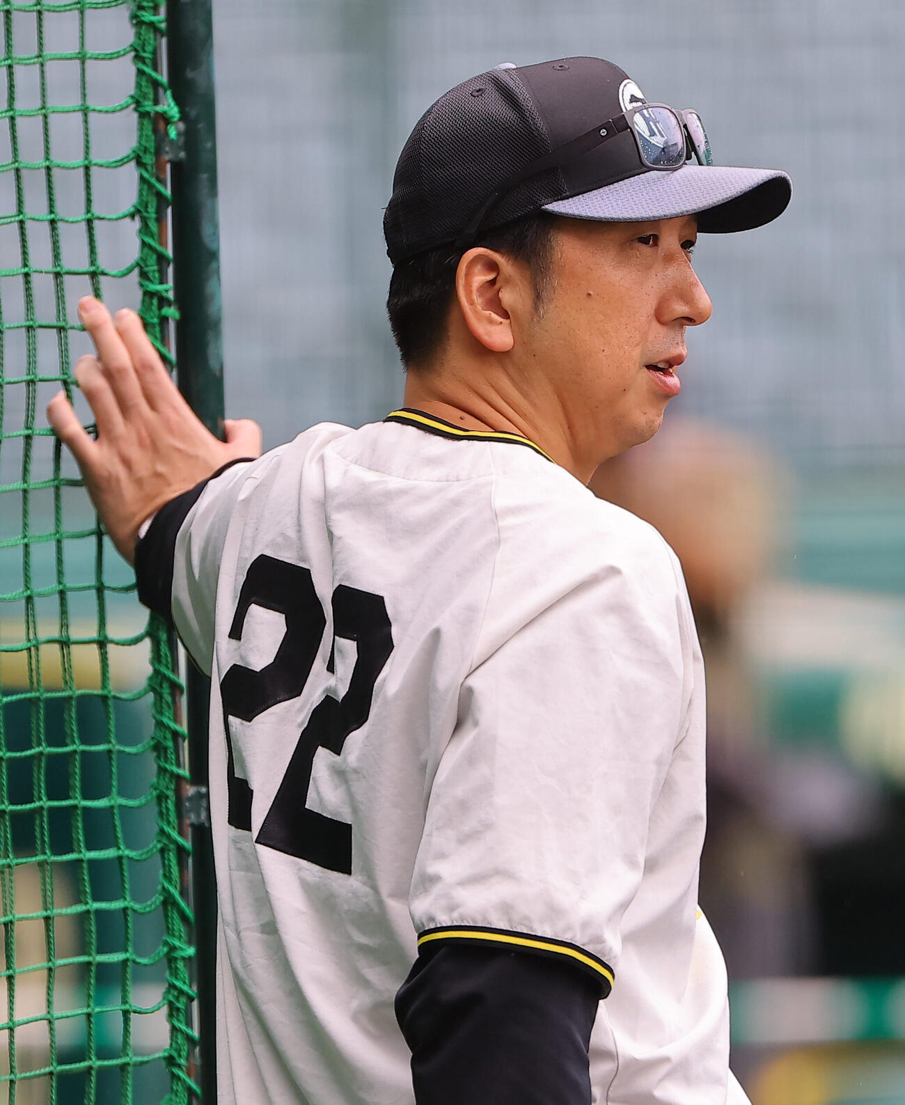 阪神対広島　練習を見守る藤川球児監督（撮影・上田博志）