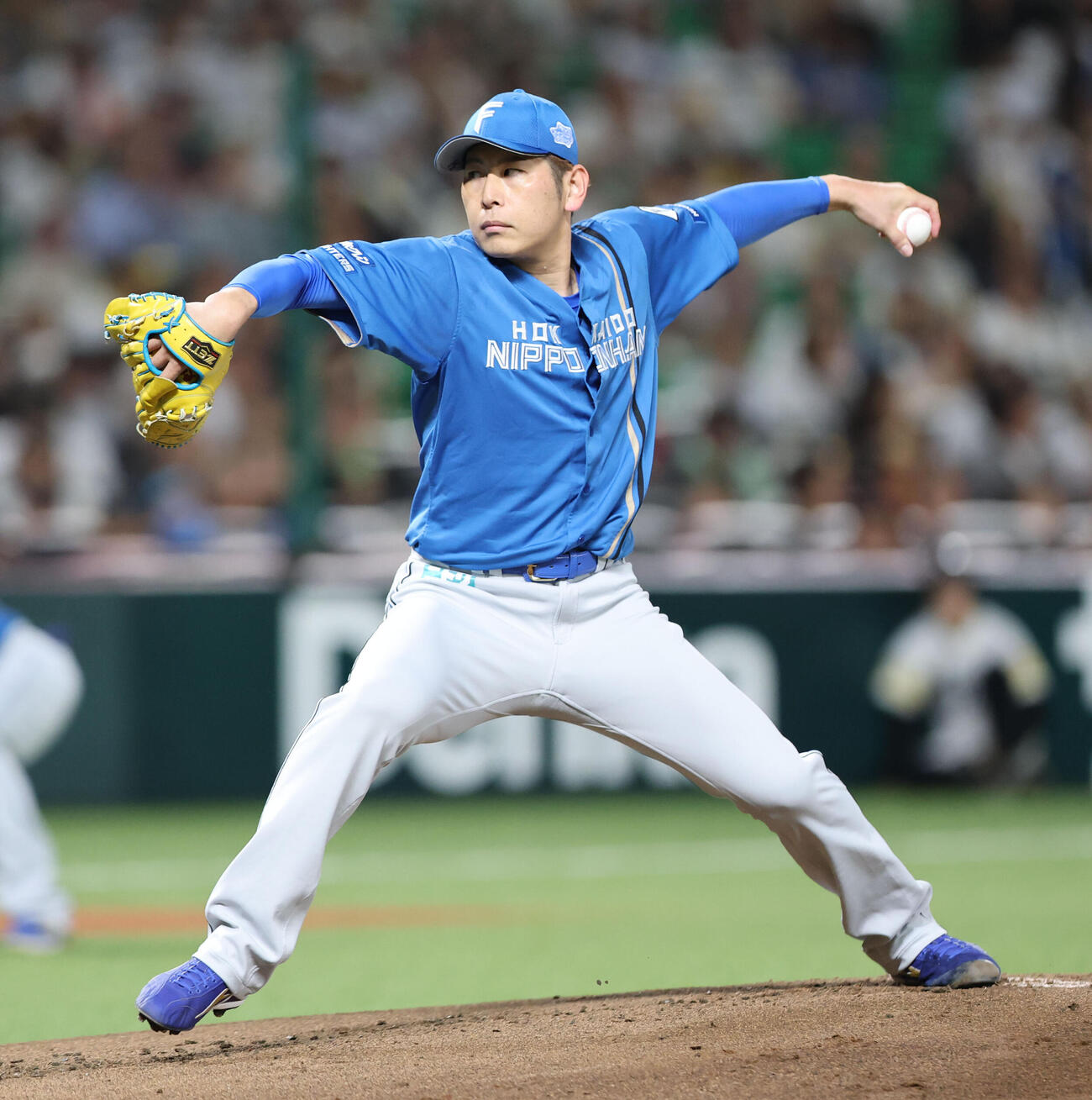 ソフトバンク対日本ハム　日本ハム先発の加藤貴之（撮影・梅根麻紀）