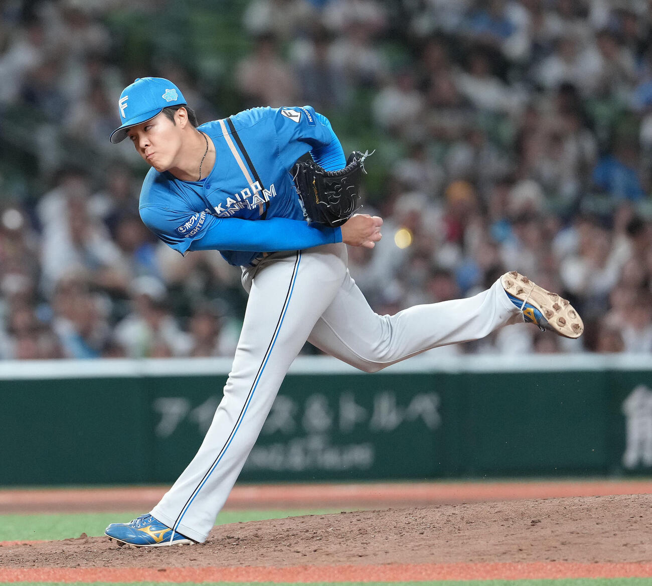 日本ハム柴田獅子（2026年9月撮影）