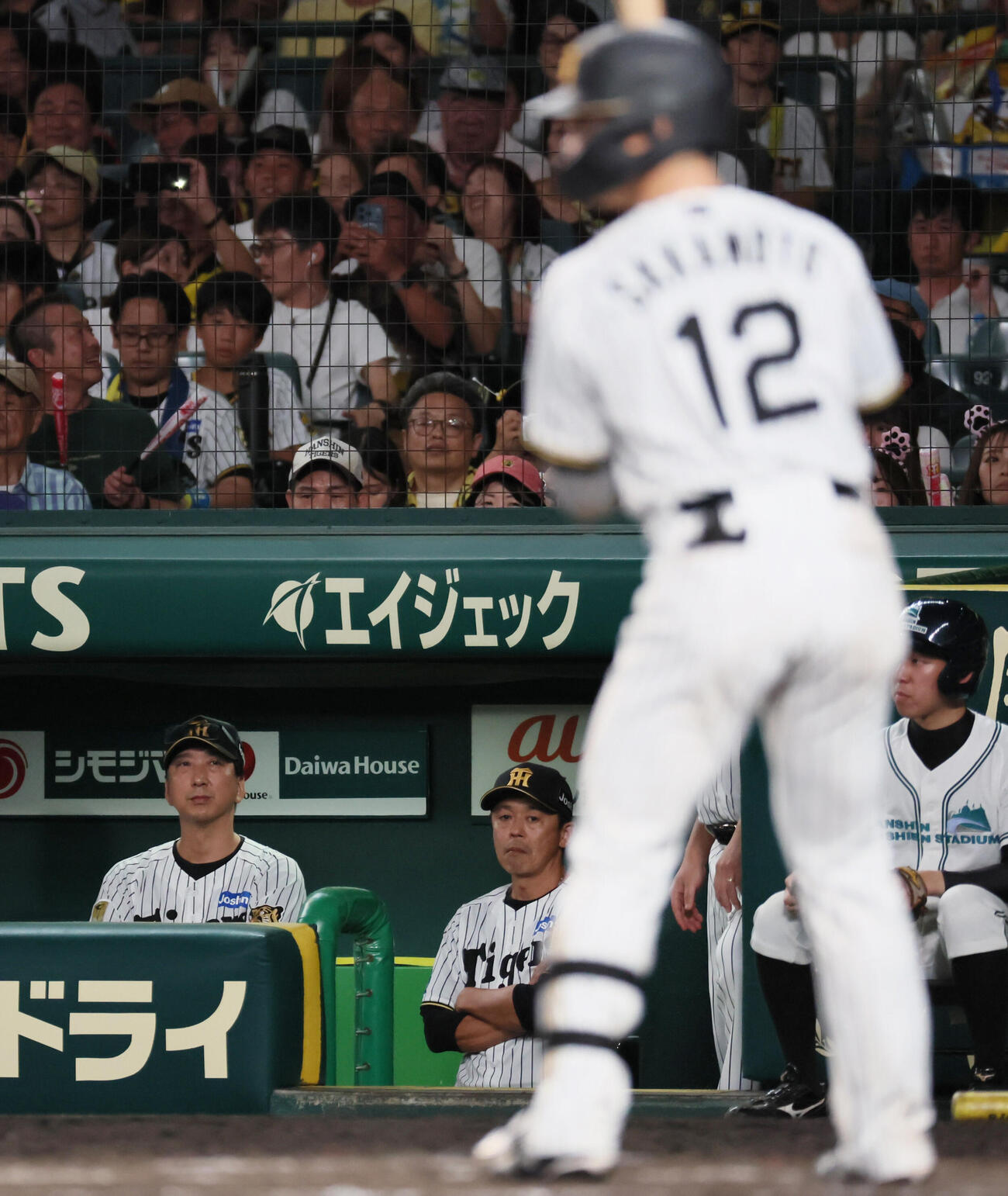 阪神対中日　9回裏阪神2死満塁、藤川球児監督（左）はサヨナラのチャンスも代打は出さず、坂本誠志郎を打席に送る（撮影・宮崎幸一）