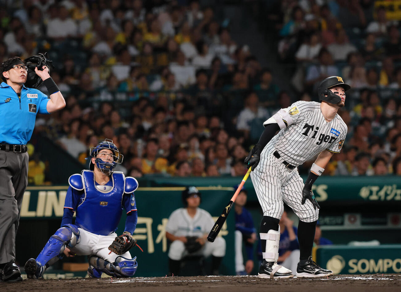 阪神対中日　2回裏阪神無死、佐藤輝明は打球を見つめるがファウル（撮影・上山淳一）