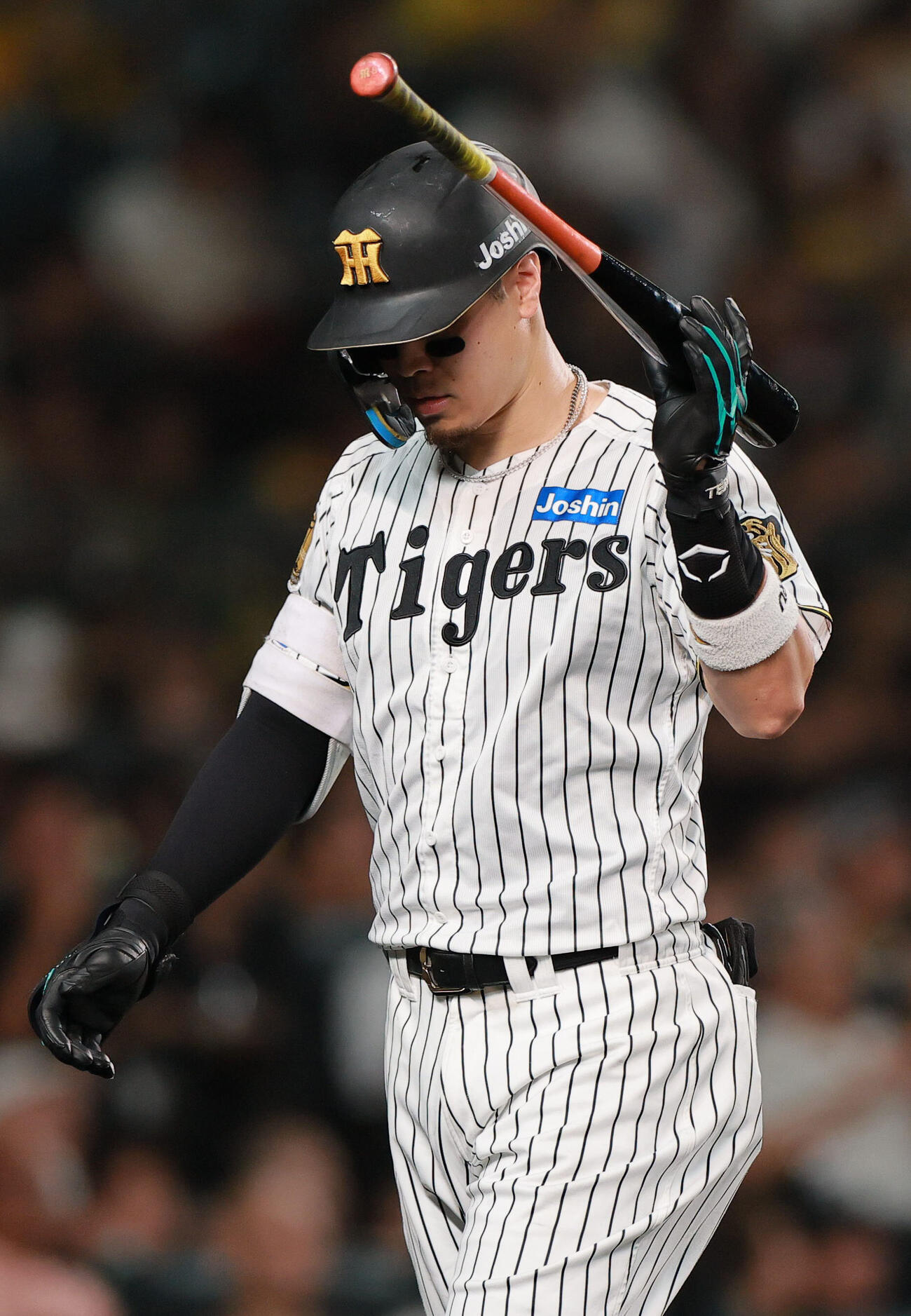 阪神対中日　7回裏阪神無死、佐藤輝明は空振り三振に倒れベンチに戻る（撮影・上山淳一）