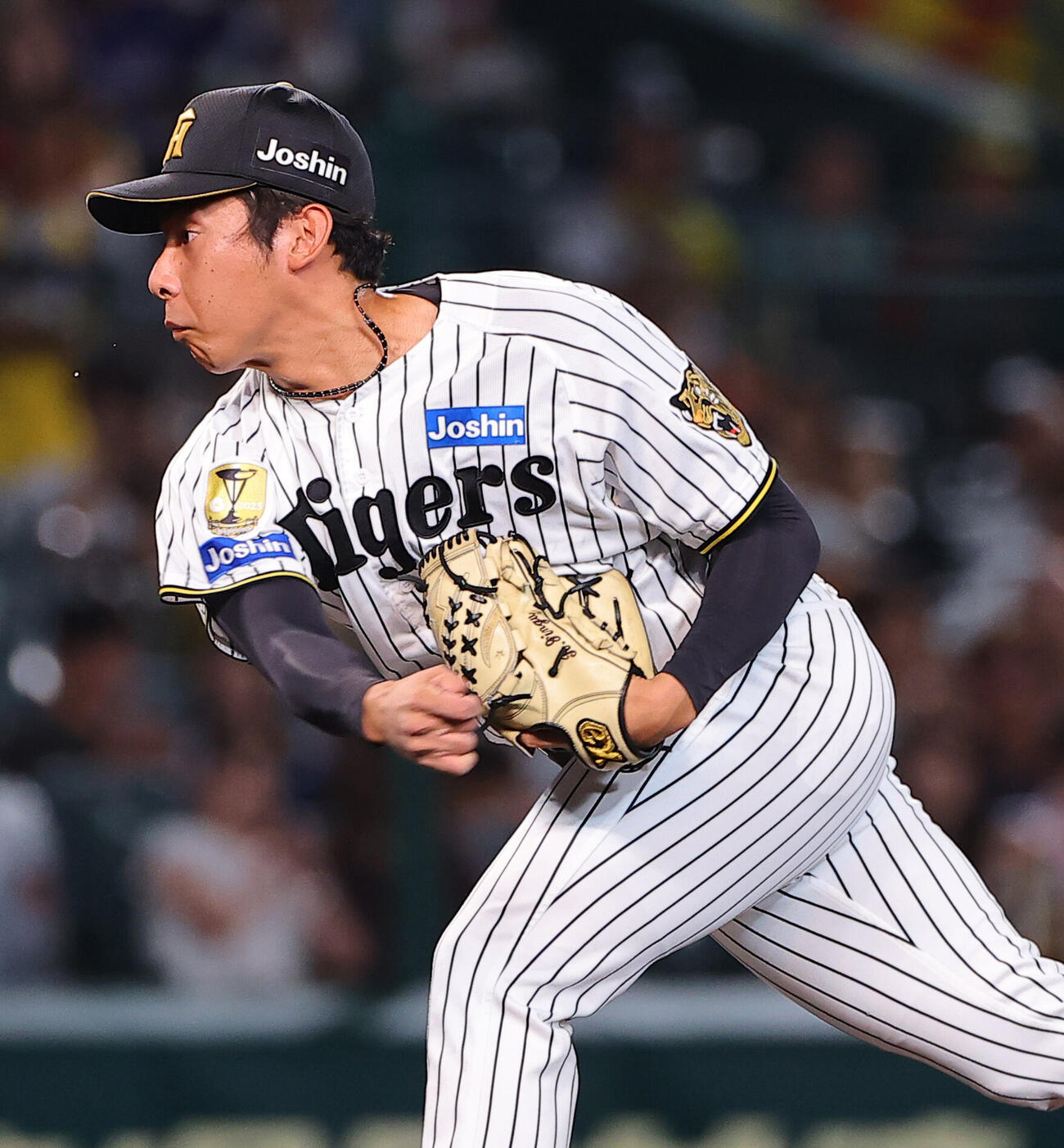 阪神対中日　阪神3番手の神宮僚介（撮影・上田博志）