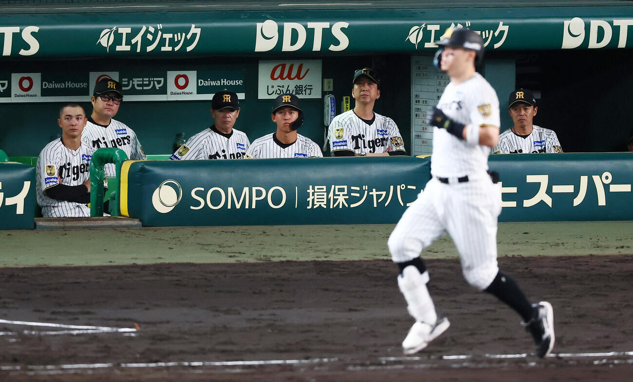 阪神対中日　9回裏阪神2死、佐藤輝明が二ゴロに倒れベンチからグラウンドを見る藤川球児監督とナイン（撮影・加藤哉）
