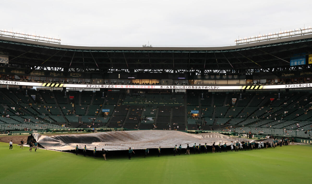 阪神対中日　内野グラウンドのシートを外し始めた阪神園芸のグラウンドキーパー(撮影・加藤哉）