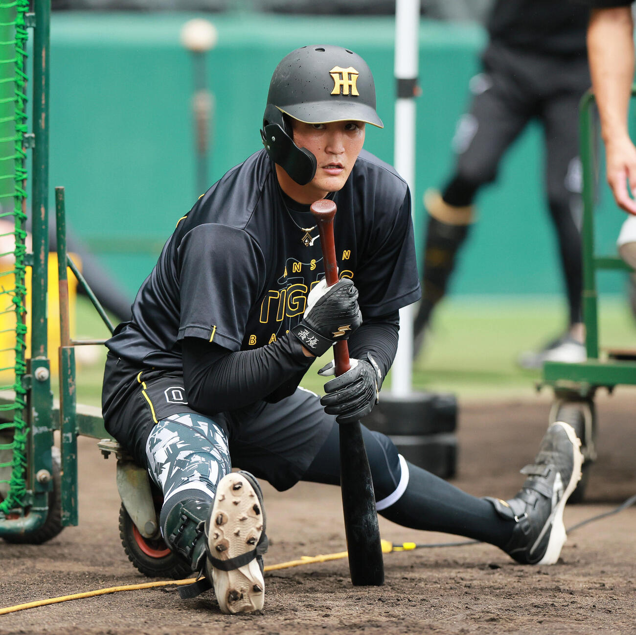 阪神元山飛優（2026年9月13日撮影）