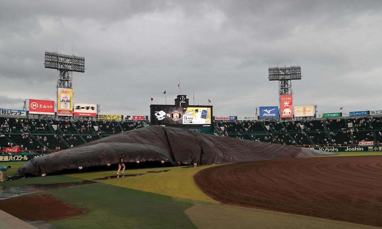 阪神対中日　グラウンドシートが外される甲子園球場（撮影・上山淳一）