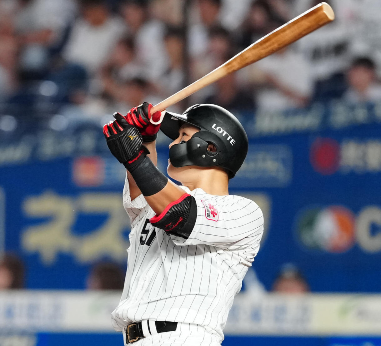 ロッテ山口航輝（2026年撮影）