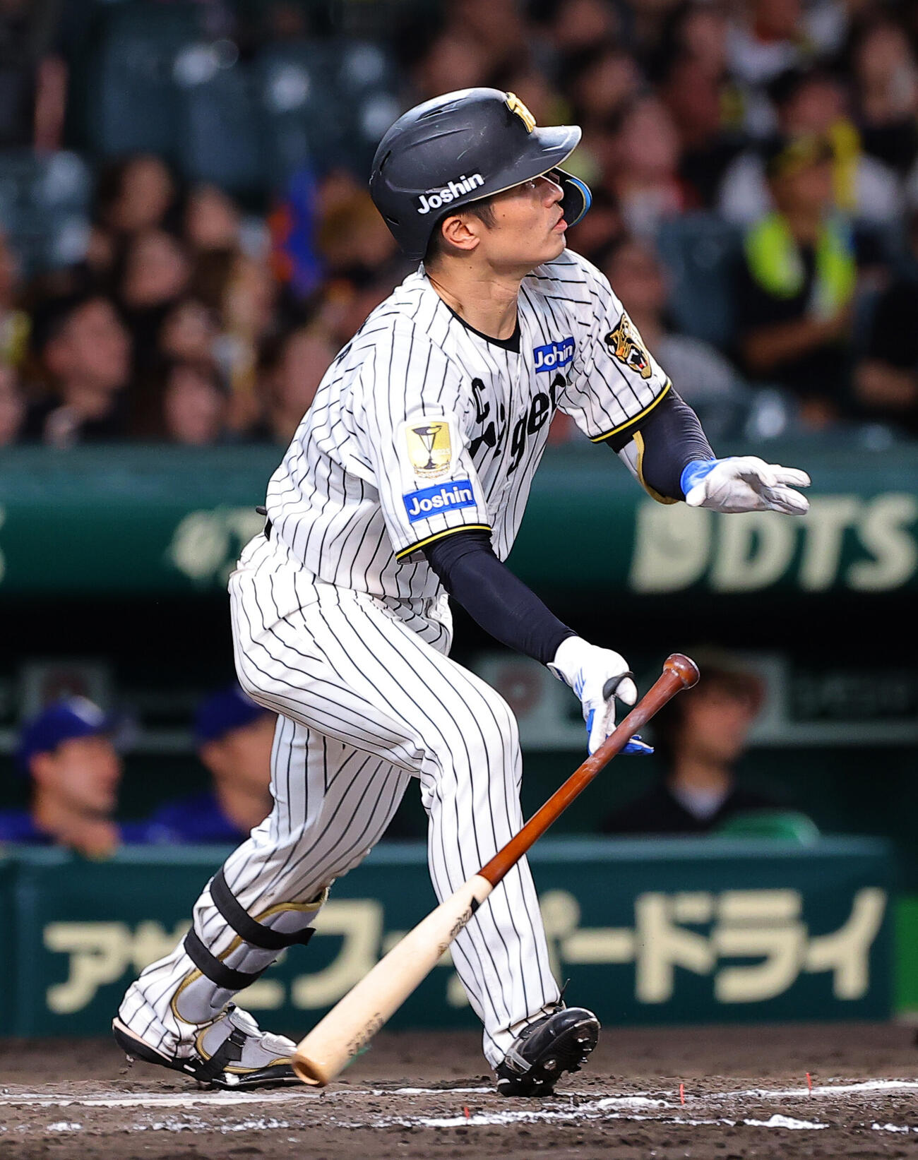 阪神坂本誠志郎（2026年9月撮影）