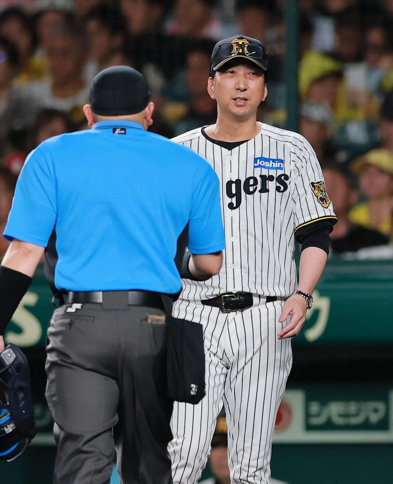 阪神対中日　4回表中日1死三塁、イーストン・ルーカスの交代を告げる藤川球児監督（撮影・上山淳一）