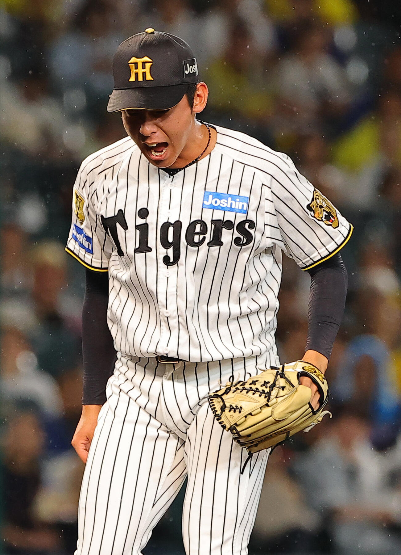 阪神対中日　4回表中日2死一、二塁、花田旭から三振を奪い雄たけびを上げる神宮僚介（撮影・上田博志）