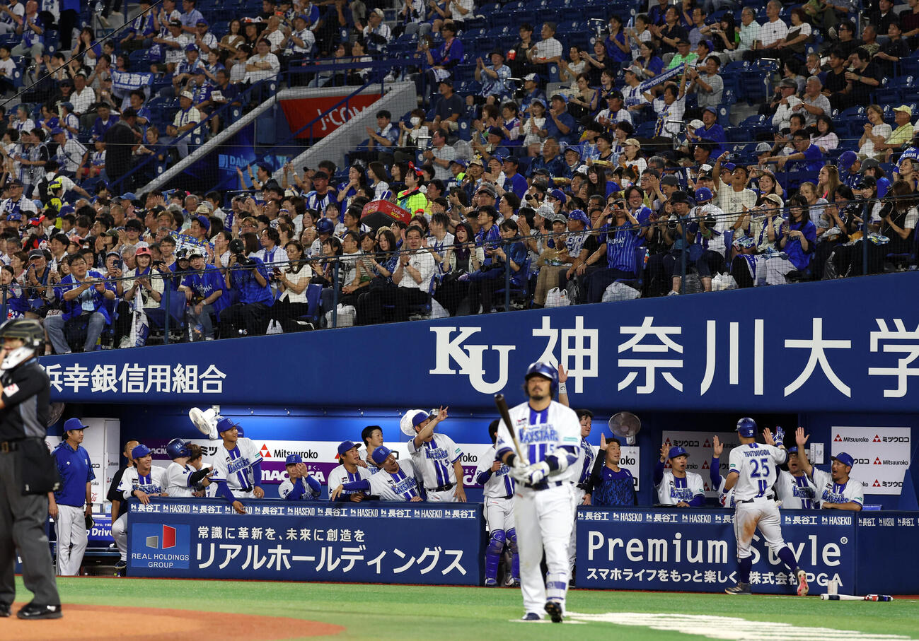 DeNA対巨人　2回裏DeNA無死、筒香嘉智（背番号25）が250号ソロ本塁打を放ち拍手で迎えるDeNAナインとファン（撮影・浅見桂子）