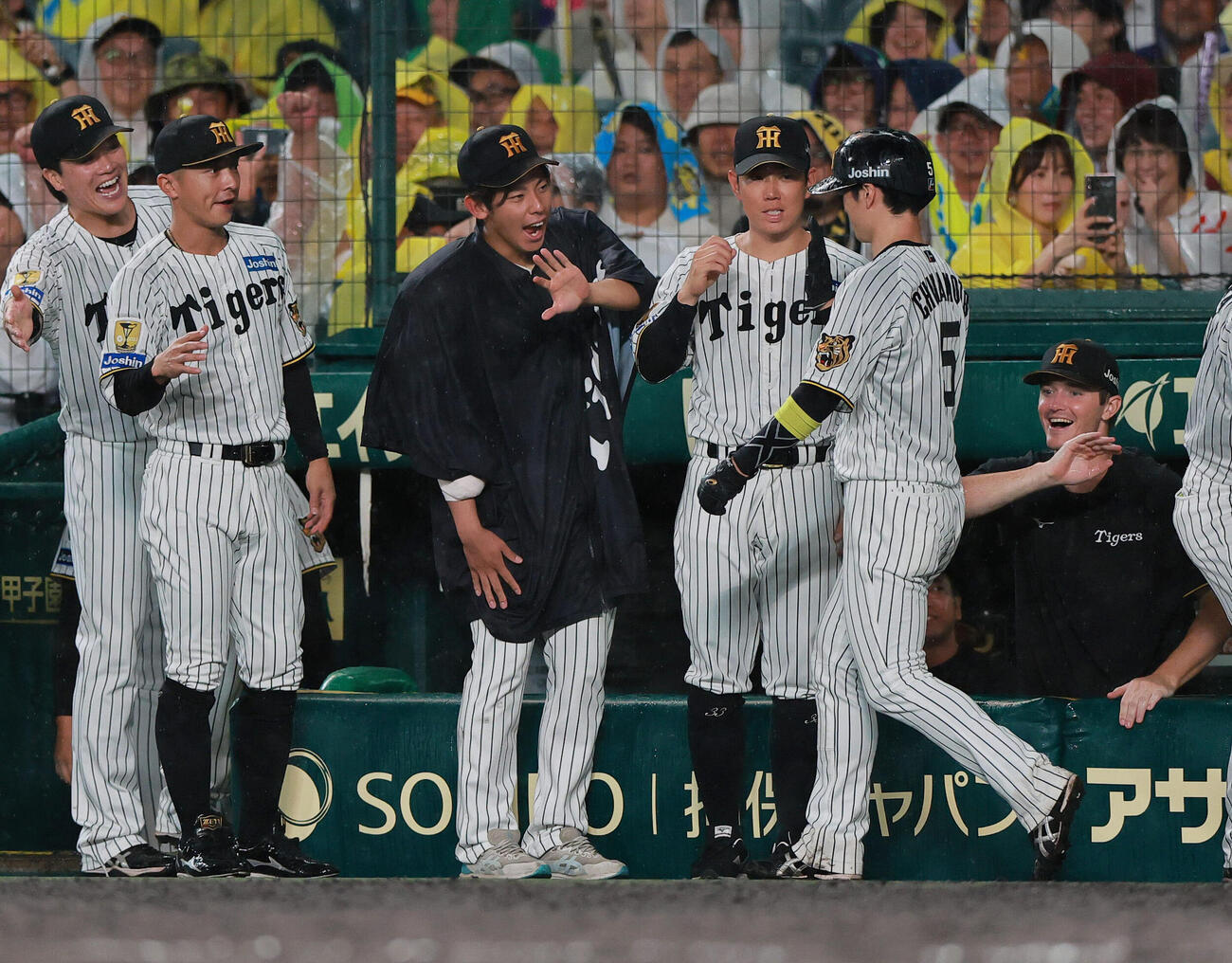 阪神対中日　5回裏阪神1死二塁、森下翔太の適時打で生還した近本光司（手前）を出迎える神宮僚介（左から3人目）ら（撮影・上山淳一）
