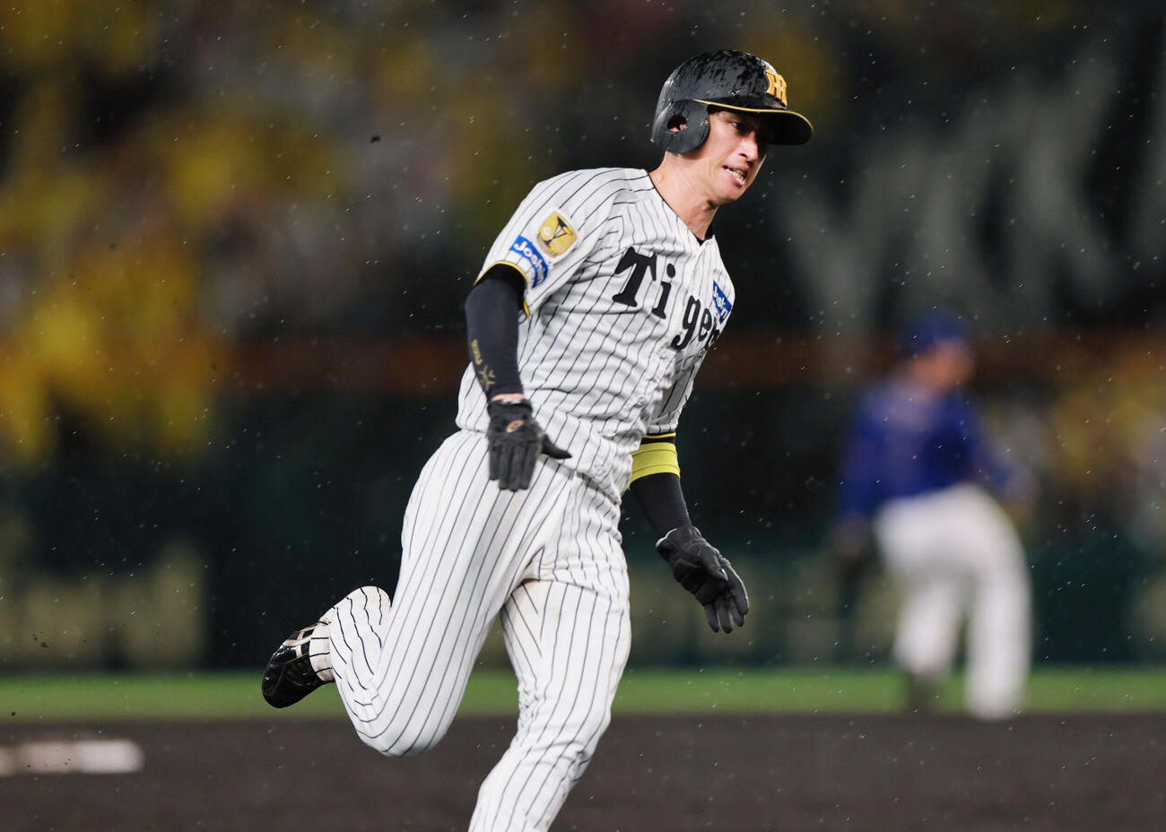 阪神対中日　5回裏阪神1死二塁、二走近本光司は森下翔太の適時打で本塁へ向かう（撮影・上山淳一）