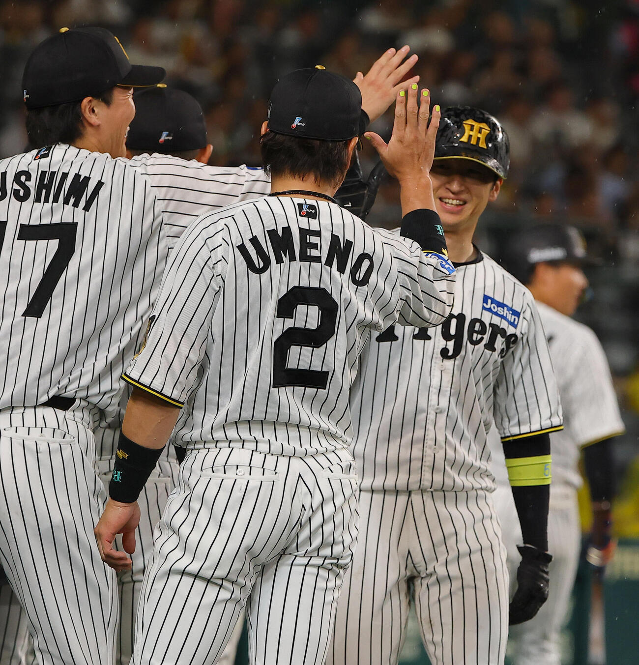 阪神対中日　5回裏阪神1死二塁、森下翔太の適時打で生還した近本光司はナインとハイタッチをする（撮影・上田博志）