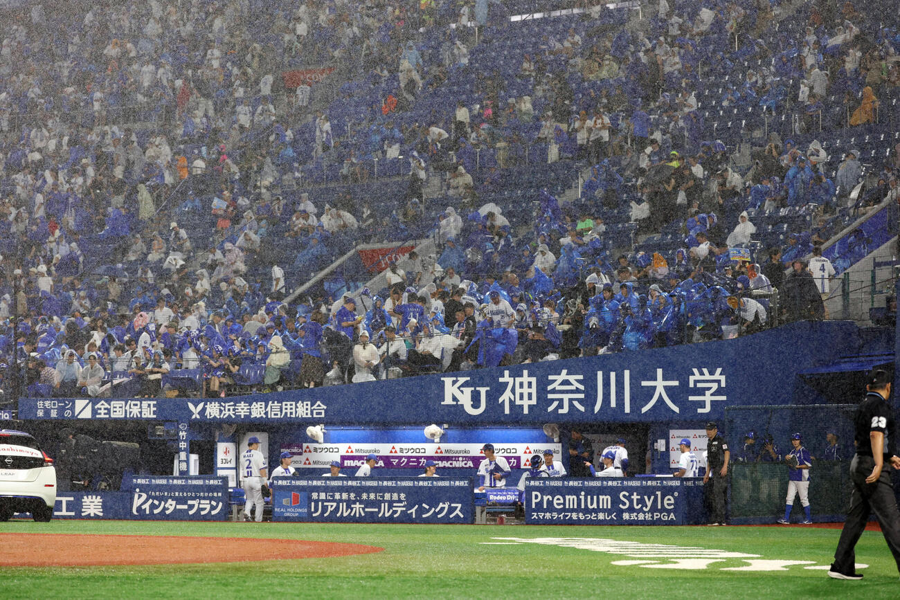 DeNA対巨人　7回表巨人の攻撃前、雨脚が強まり中断となる（撮影・浅見桂子）