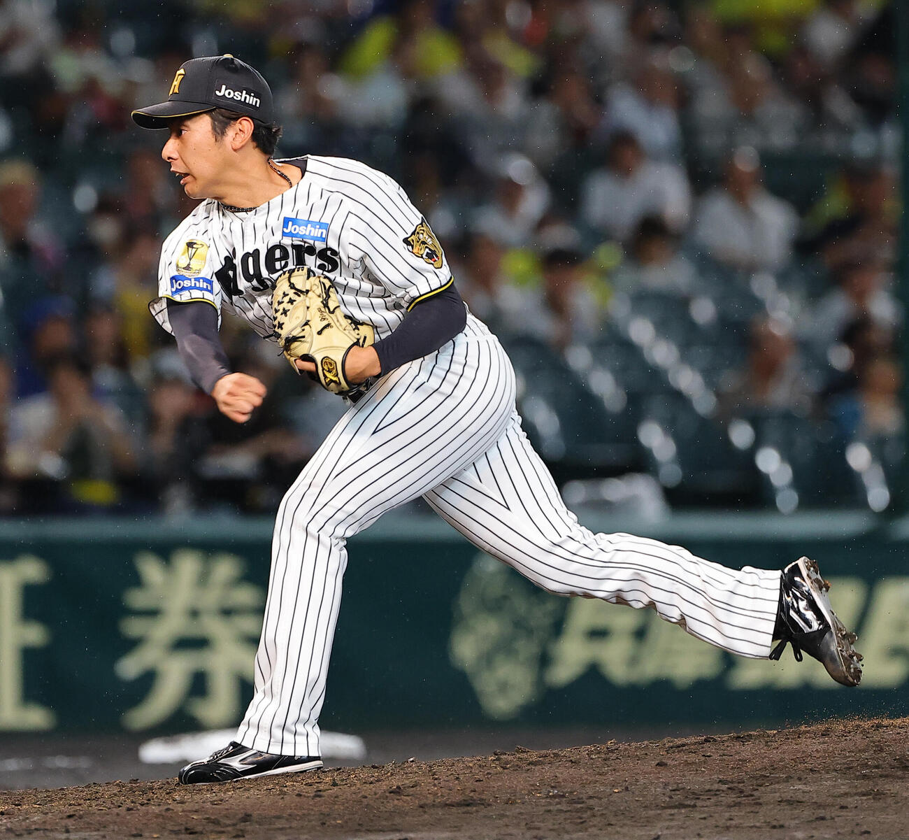 阪神対中日　阪神2番手の神宮僚介（撮影・上田博志）