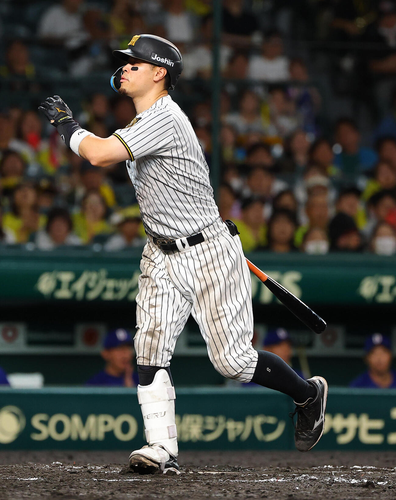 阪神対中日　7回裏阪神2死一塁、佐藤輝明は三振に倒れる（撮影・上田博志）