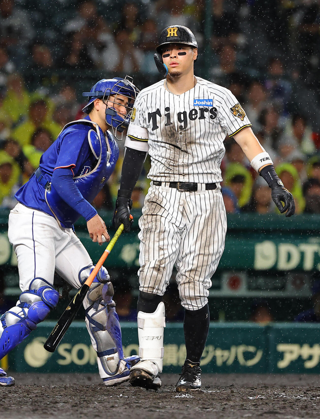 阪神対中日　5回裏阪神1死一塁、佐藤輝明は三振に倒れる（撮影・上田博志）