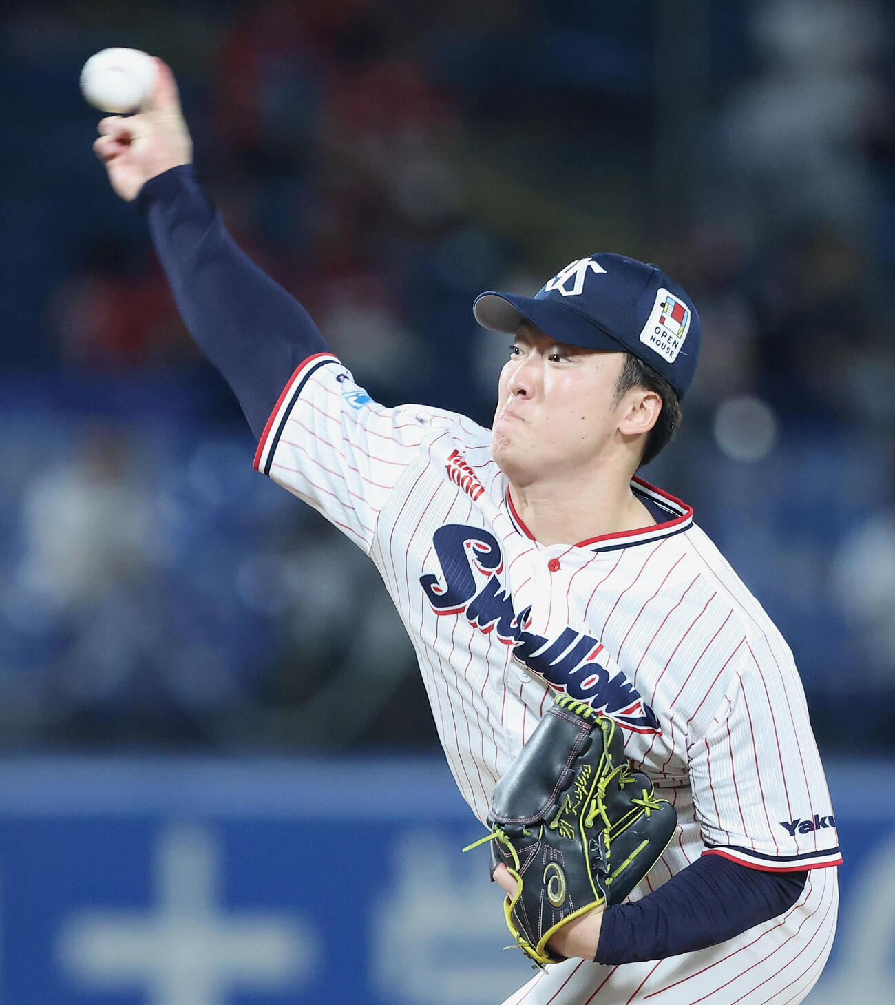 ヤクルト吉村貢司郎（2026年9月撮影）
