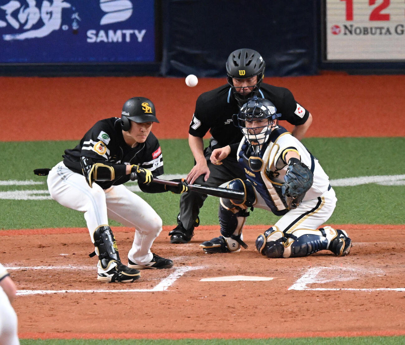 オリックス対ソフトバンク　8回表ソフトバンク無死一塁、送りバントに失敗する柳町達（撮影・和賀正仁）