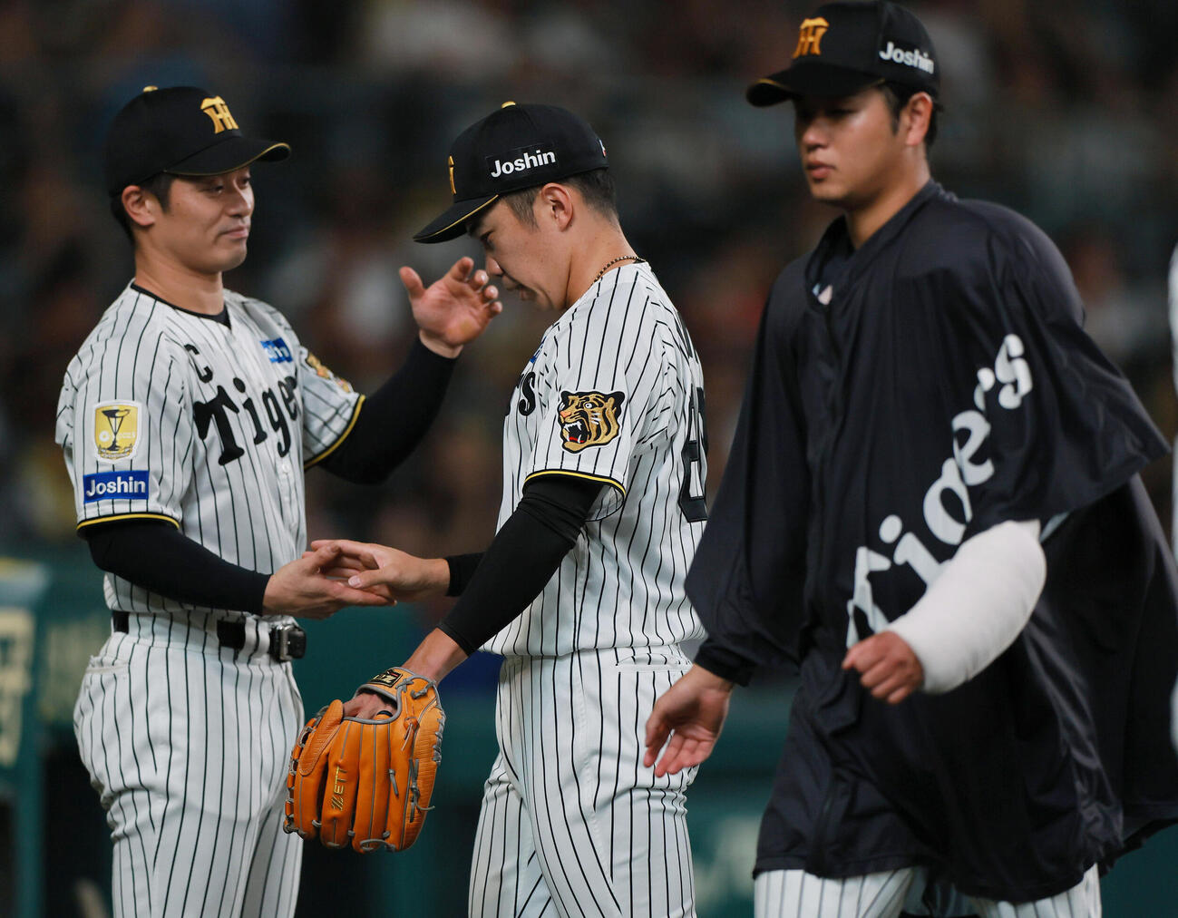 阪神対広島　8回表を無失点で投げ終えた阪神石井大智（中央）は坂本誠志郎とタッチをかわす（撮影・上山淳一）