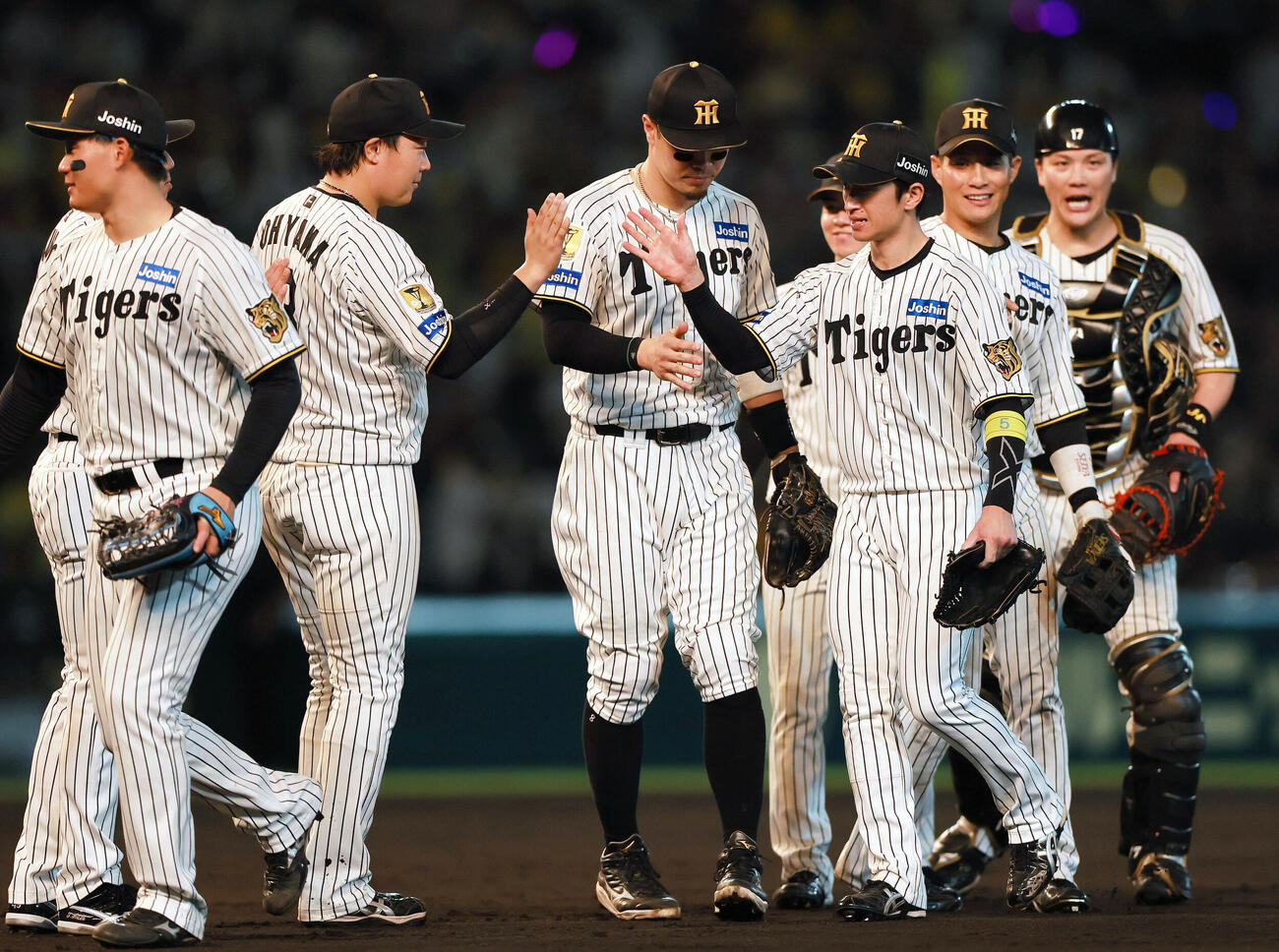 阪神対広島　広島に勝利し、タッチをかわす阪神ナイン（撮影・上山淳一）