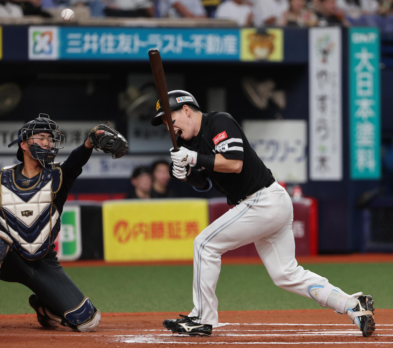 オリックス対ソフトバンク　6回表ソフトバンク無死一塁、栗原陵矢は死球を受ける（撮影・西尾就之）