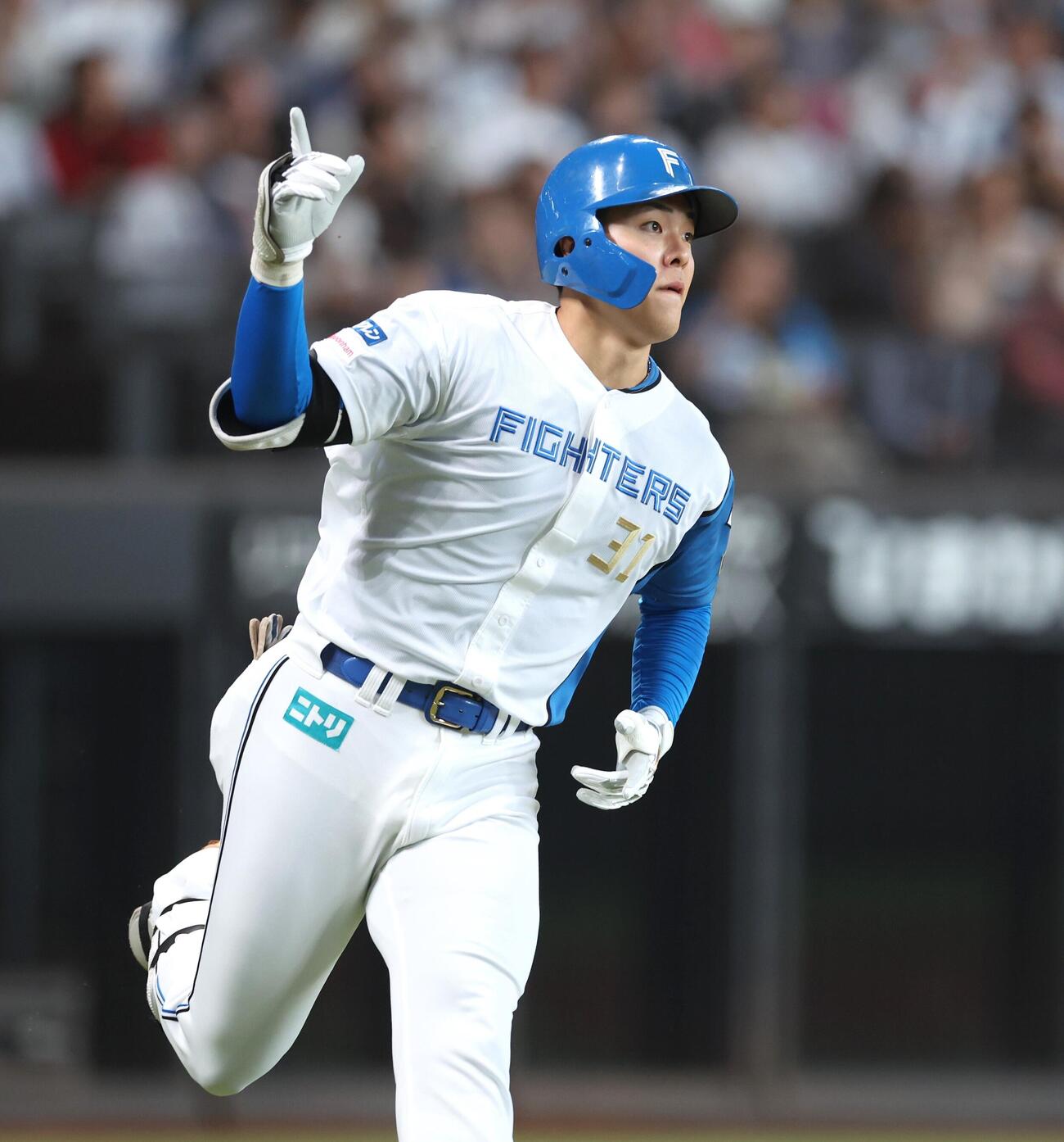 日本ハム対オリックス　6回裏日本ハム無死、本塁打を放ちポーズをとる柴田獅子（撮影・黒川智章）