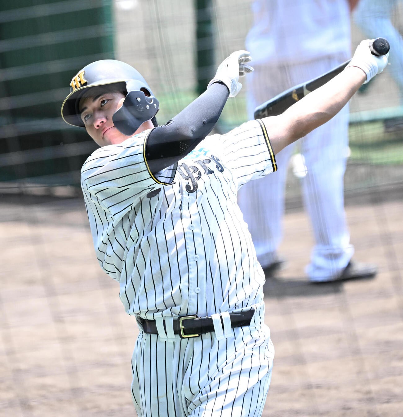 阪神立石正広＝2026年7月
