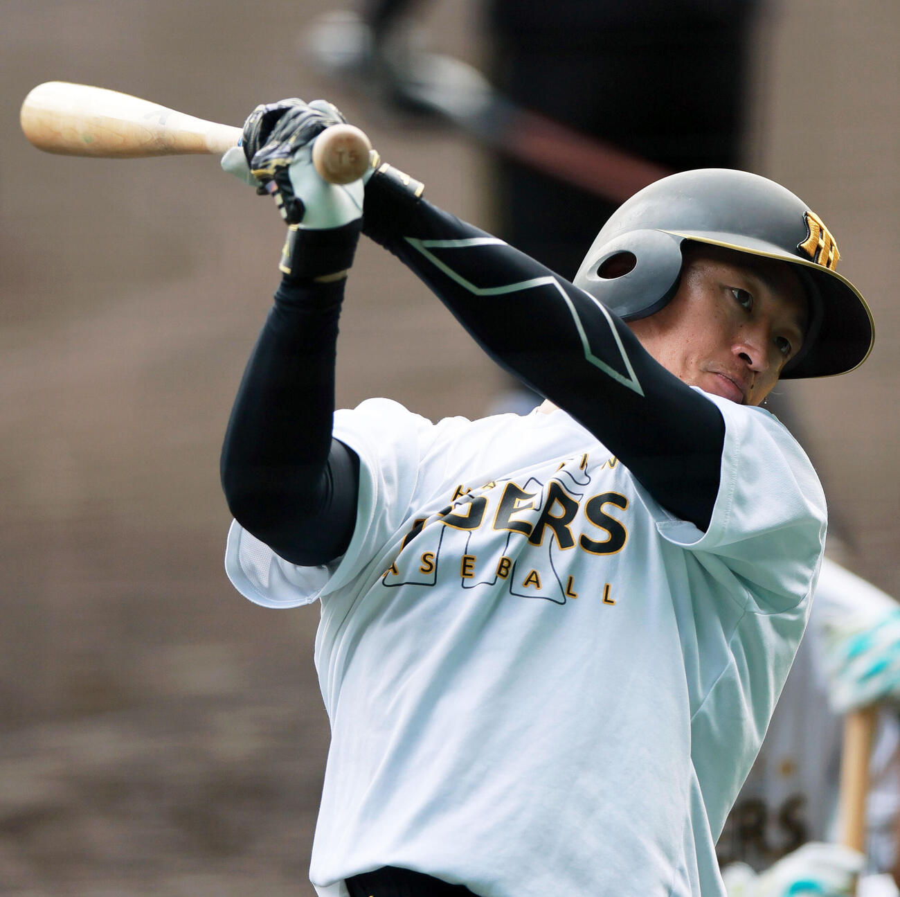 阪神対広島　ティー打撃を行う阪神近本光司（撮影・上山淳一）
