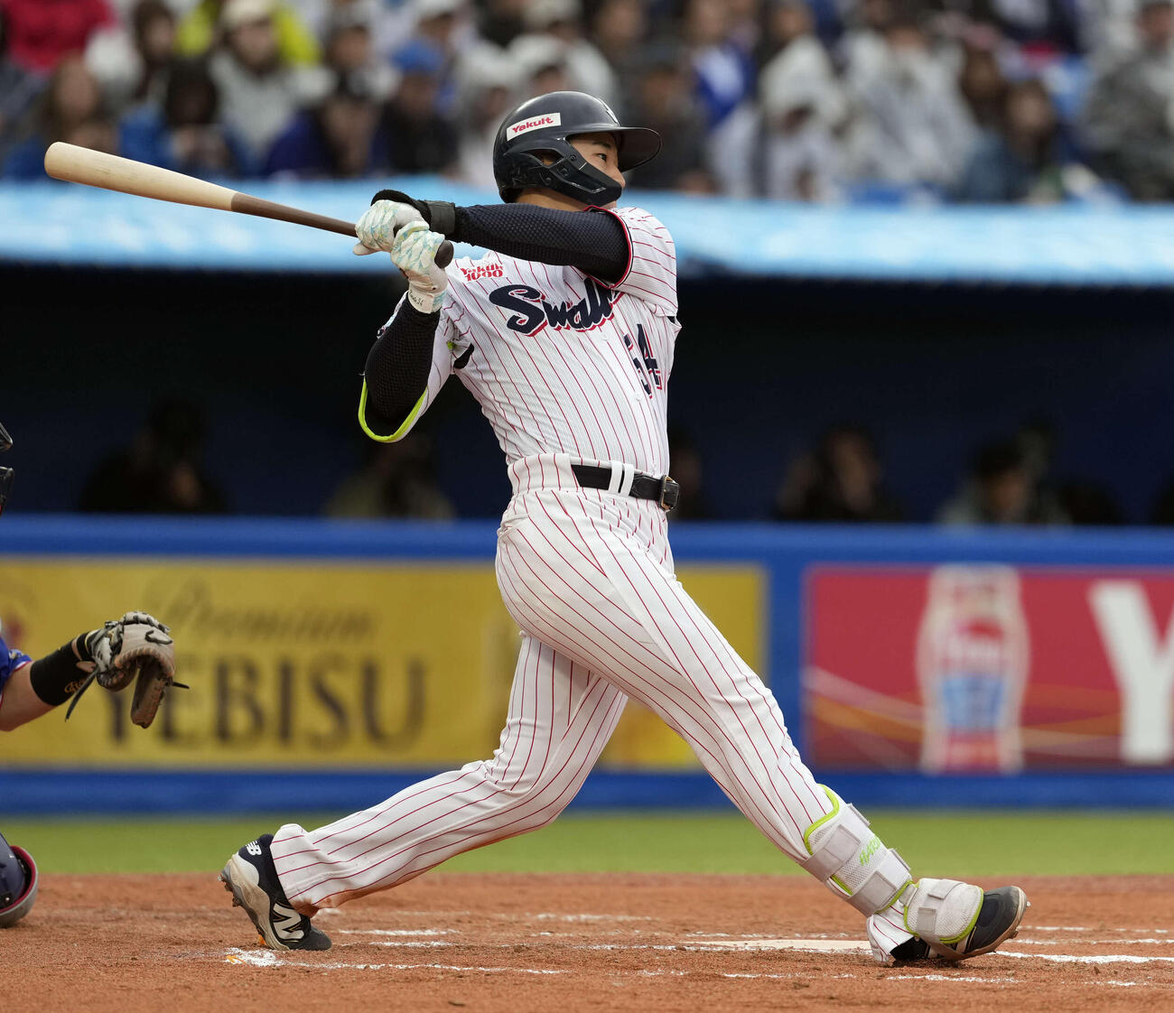 ヤクルト田中陽翔（26年4月撮影）