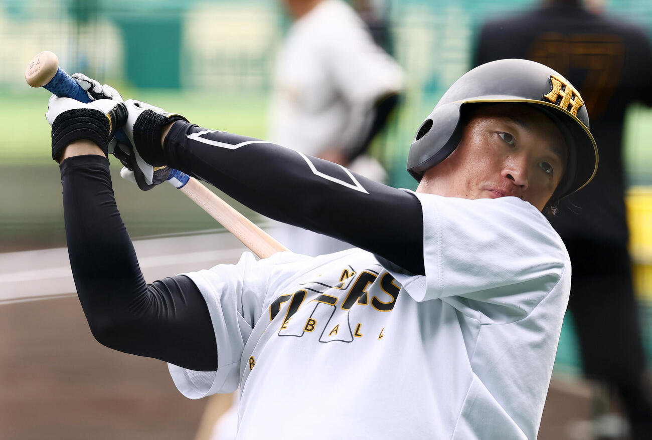 阪神対DeNA　ティー打撃する阪神近本光司（撮影・加藤哉）
