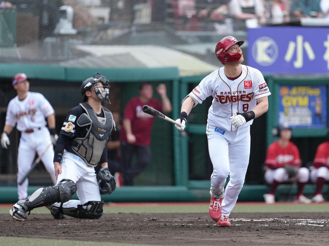 楽天対ソフトバンク　4回裏楽天無死二塁、辰己涼介は2点本塁打を放つ（撮影・足立雅史）