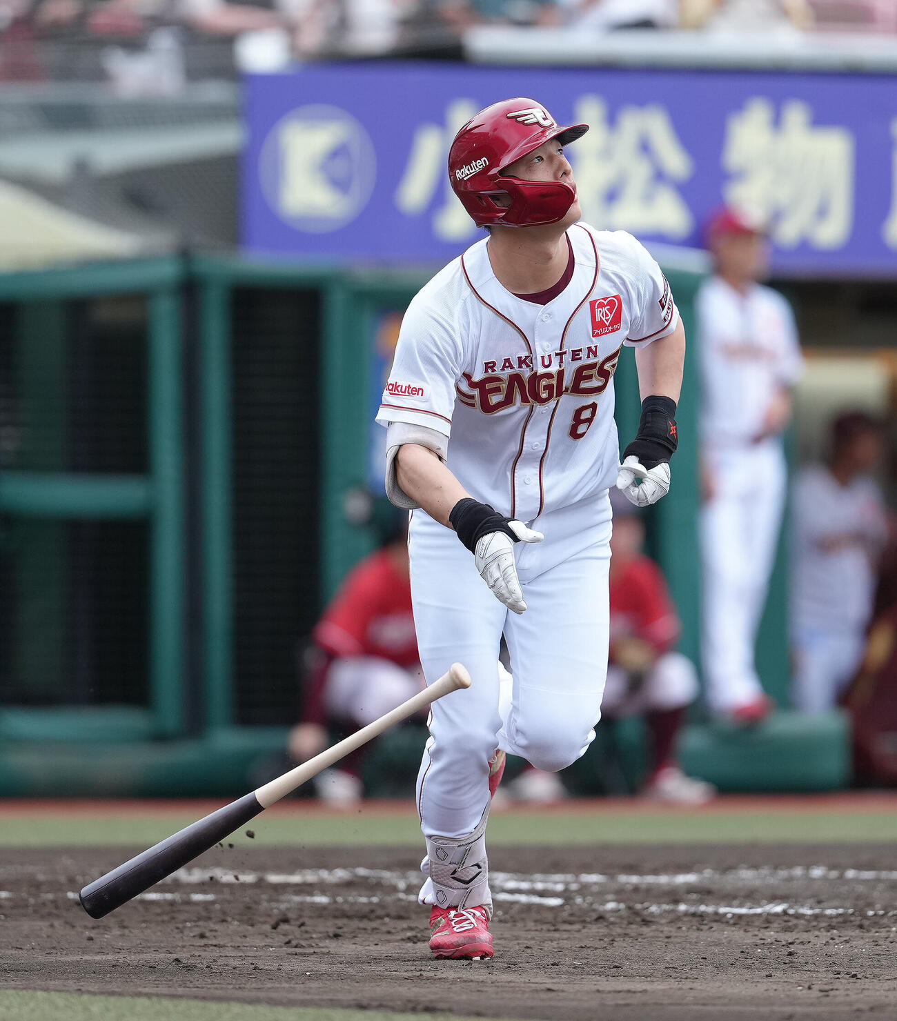 楽天対ソフトバンク　4回裏楽天無死二塁、辰己涼介は2点本塁打を放つ（撮影・足立雅史）