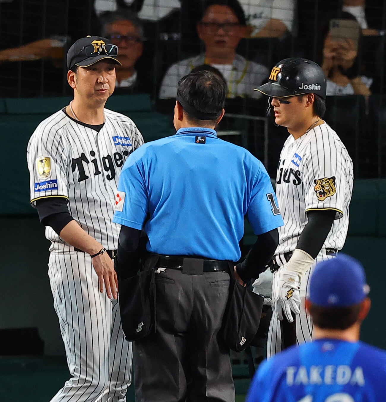 阪神対DeNA 3回裏阪神2死二、三塁、前川右京（右）の死球をめぐる判定でリクエストを要求する藤川球児監督（撮影・上田博志）