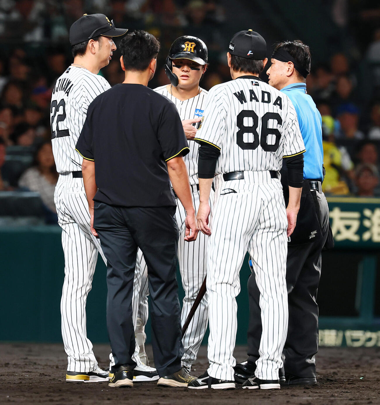阪神対DeNA 3回裏阪神2死二、三塁、死球を受けた前川右京のもとへ駆け寄る藤川球児監督（左）。右は和田豊ヘッドコーチ（撮影・加藤哉）