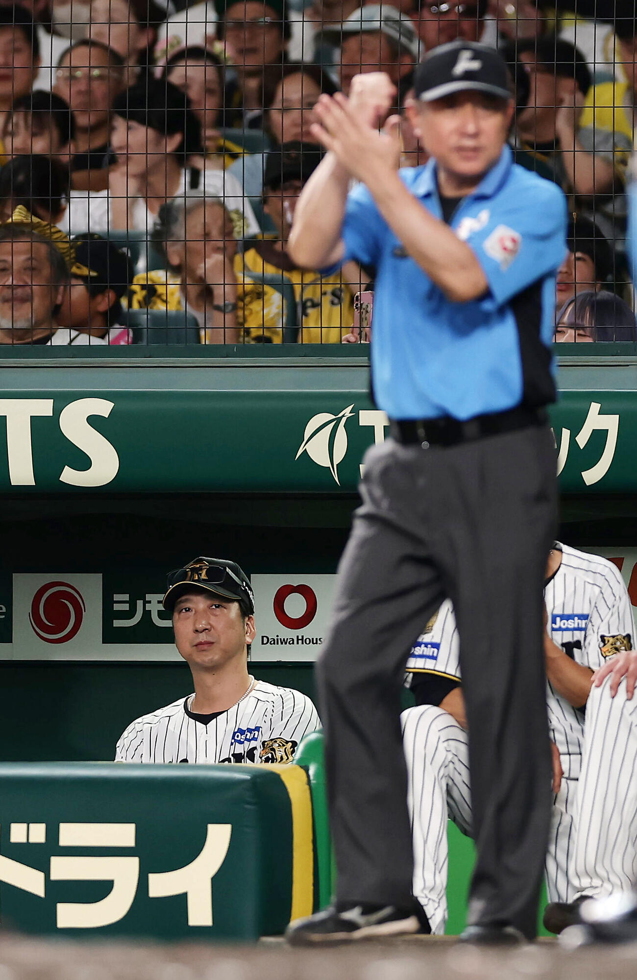 阪神対DeNA 3回裏阪神2死二、三塁、リプレイ検証で前川右京への死球と判定され、ベンチから見つめる藤川球児監督（撮影・前田充）