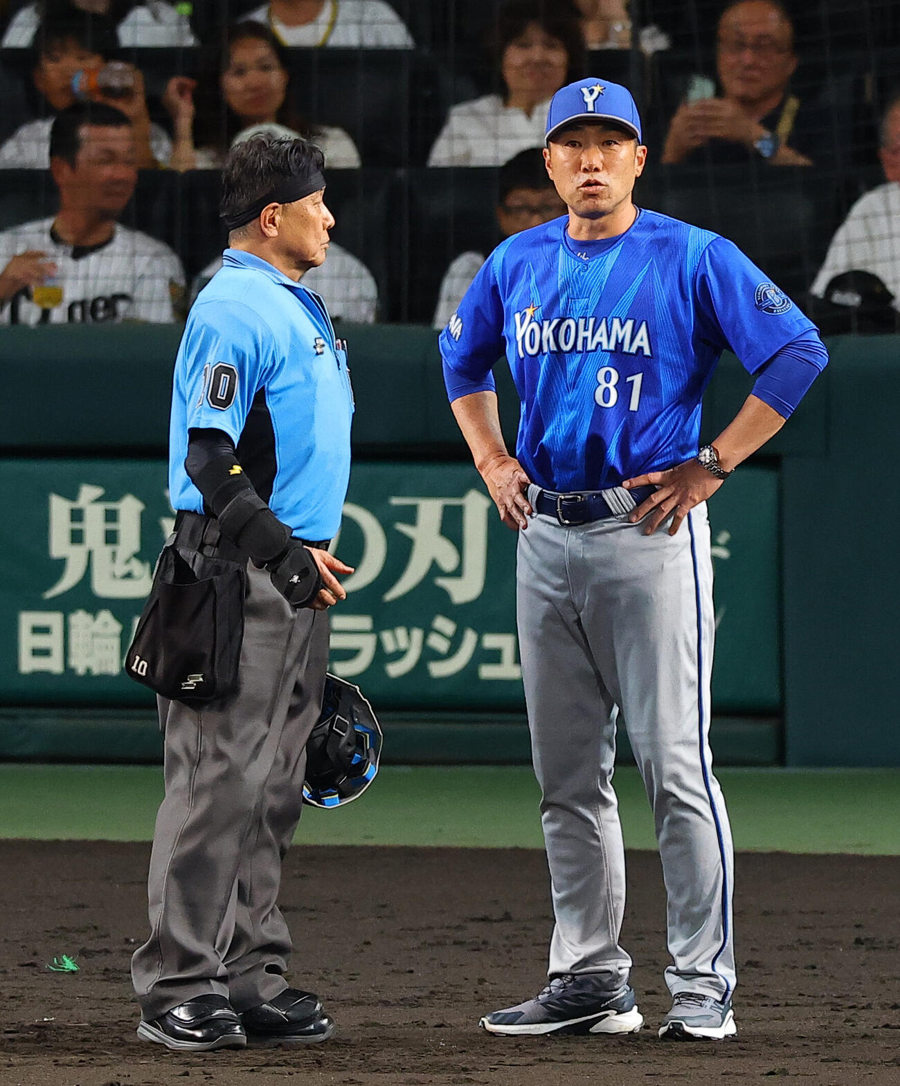 阪神対DeNA 3回裏阪神2死二、三塁、前川右京の死球の判定を確認する相川亮二監督（撮影・上田博志）