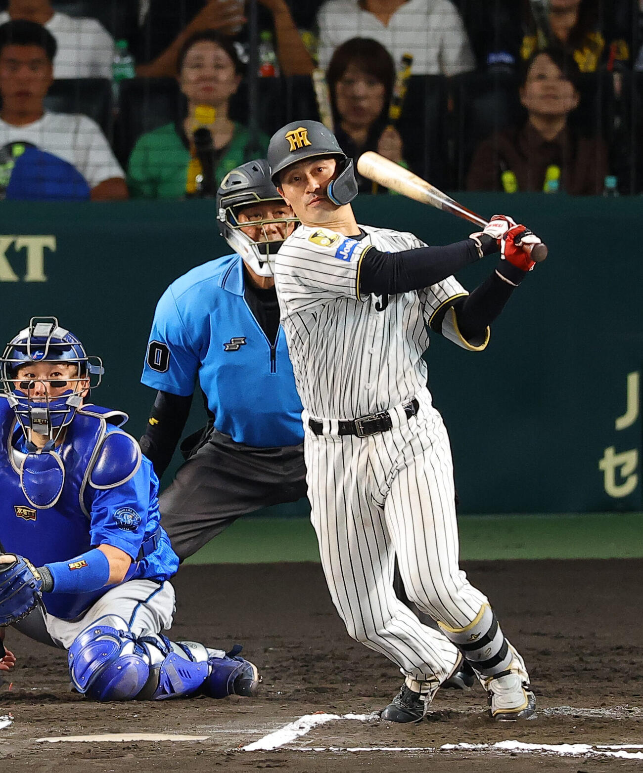 阪神対DeNA 6回裏阪神無死、坂本誠志郎は安打を放つ（撮影・上田博志）