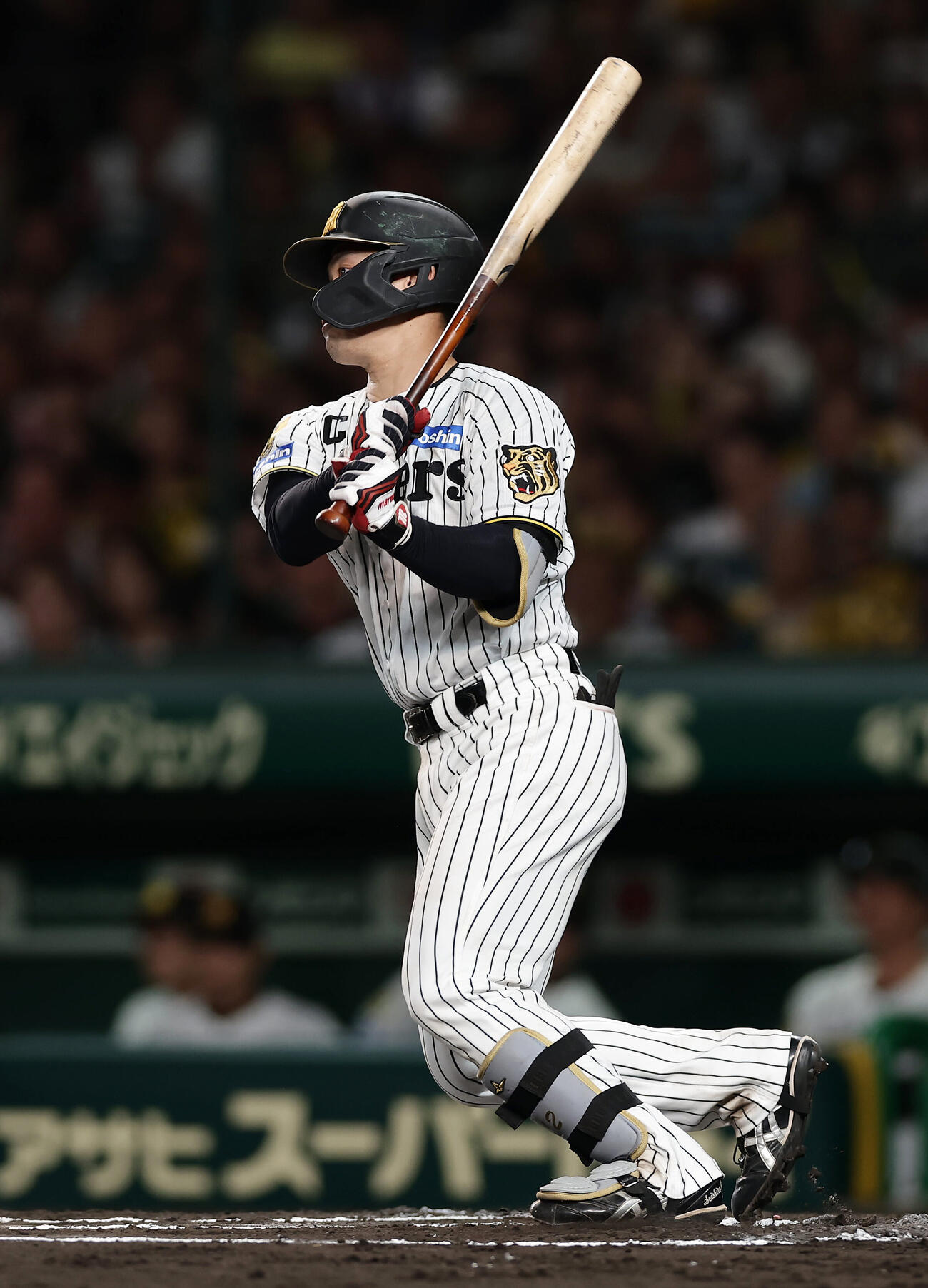 阪神対DeNA 6回裏阪神無死、左前打を放つ坂本誠志郎（撮影・前田充）