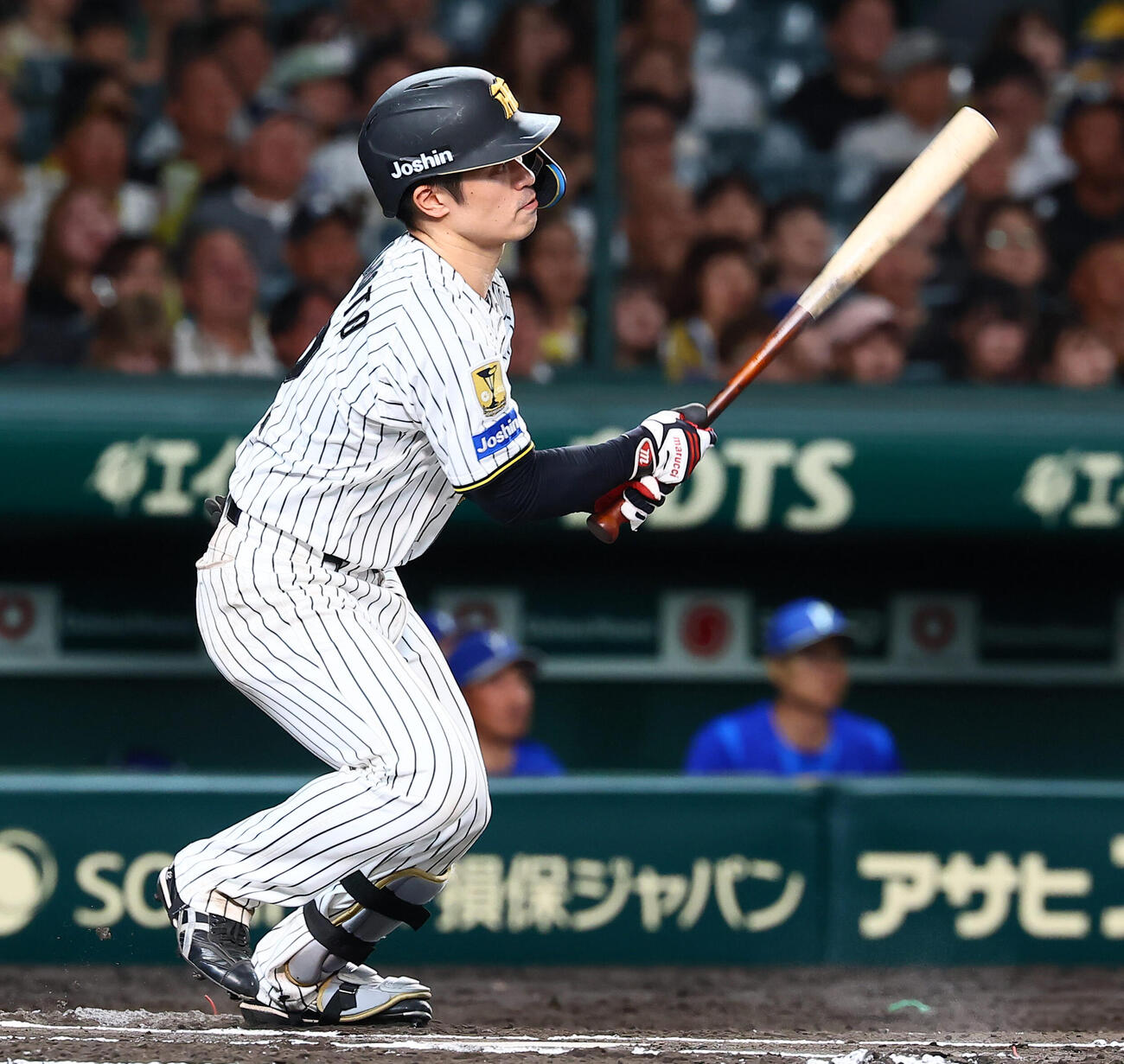 阪神対DeNA 6回裏阪神無死、坂本誠志郎は左前打を放つ（撮影・加藤哉）