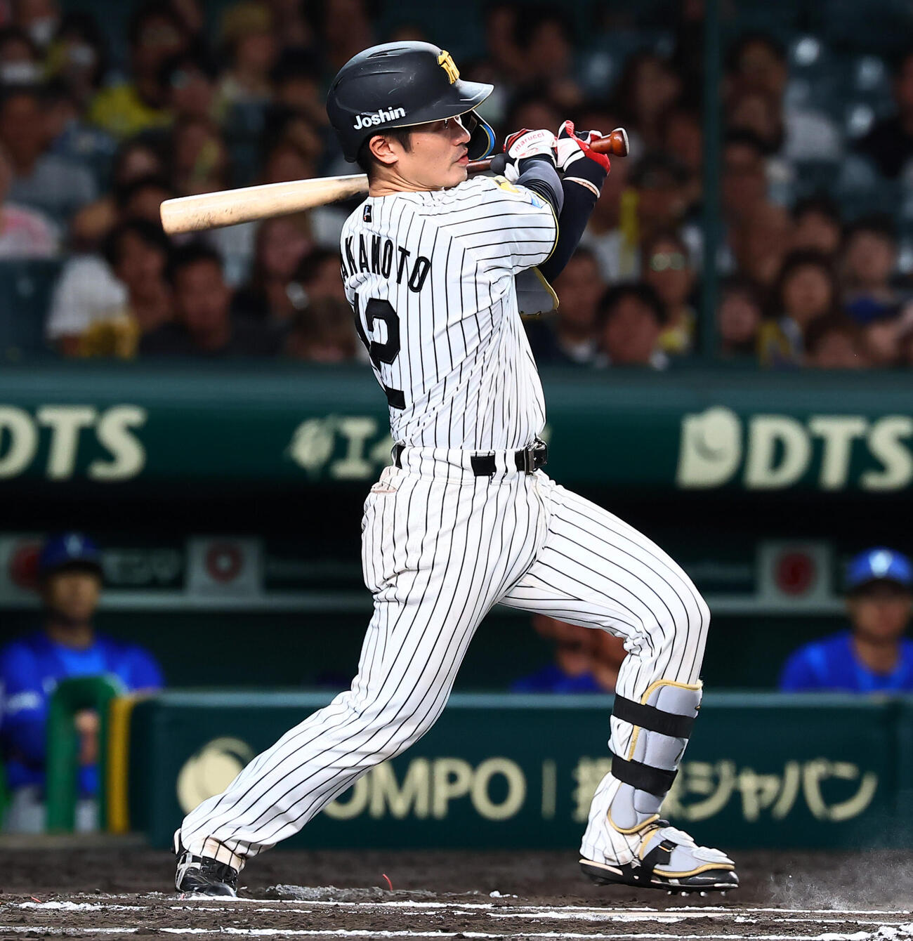 阪神対DeNA 6回裏阪神無死、坂本誠志郎は左前打を放つ（撮影・加藤哉）
