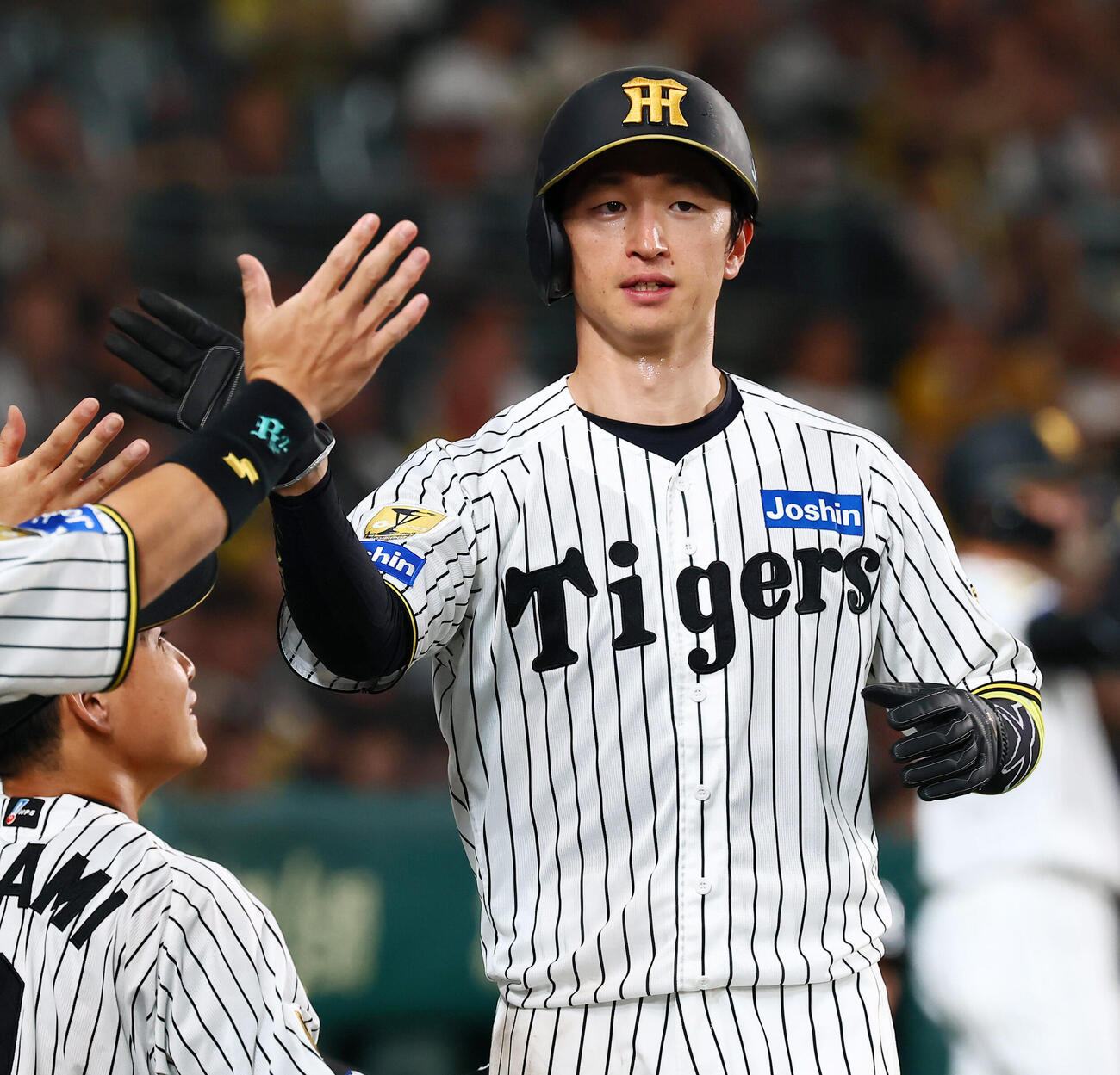 阪神対DeNA 3回裏阪神2死満塁、三走近本光司は竹田祐の暴投で生還しベンチのナインとタッチする（撮影・加藤哉）
