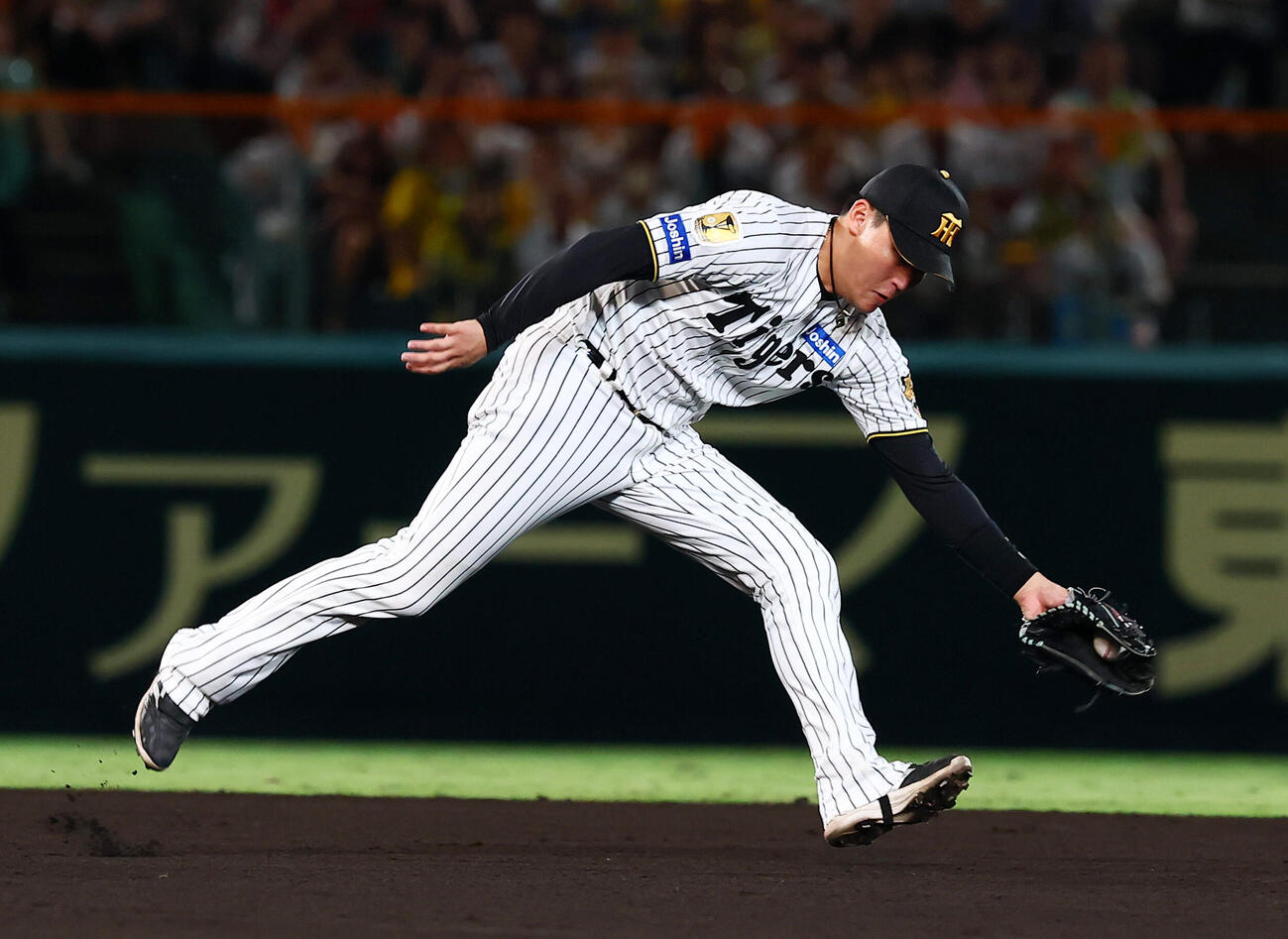 阪神対DeNA 6回表DeNA1死、元山飛優は宮崎敏郎の打球を好捕（撮影・加藤哉）